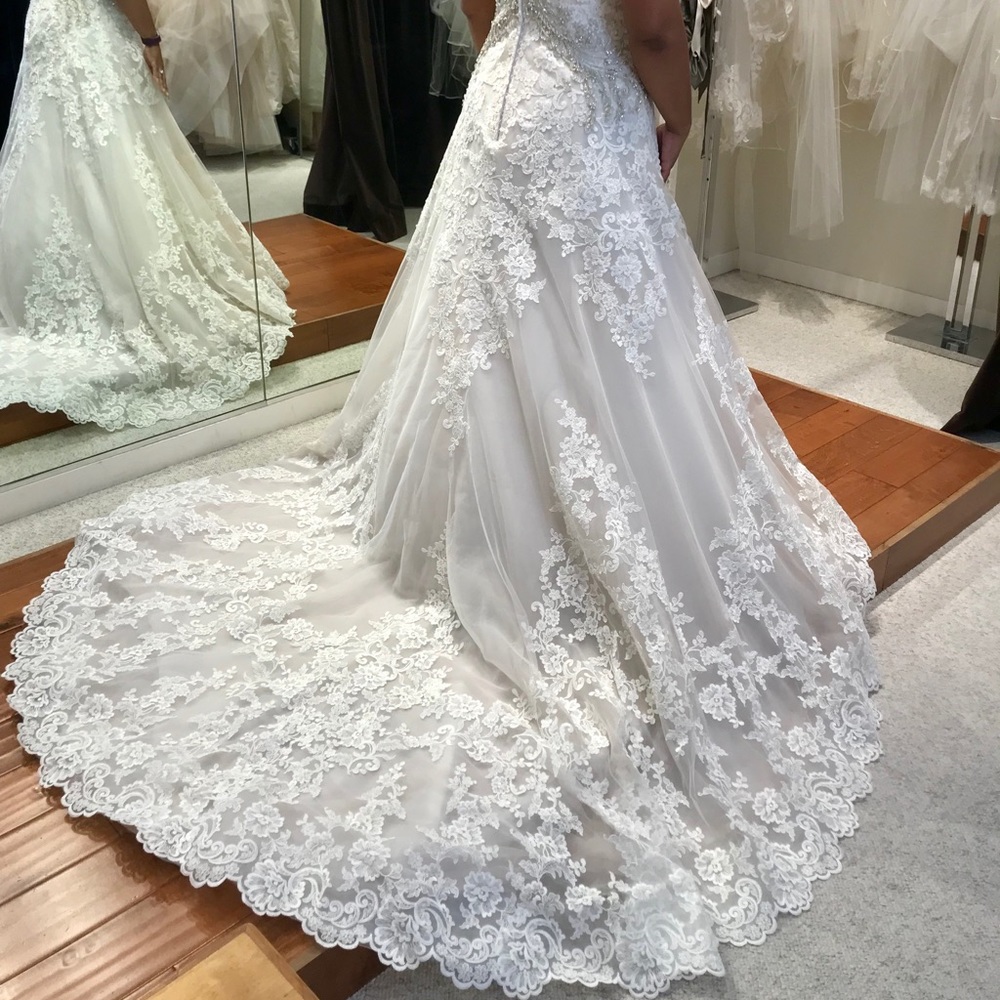 Maggie Sottero - Picture 4 of 5